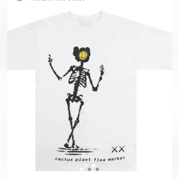 KAWS Other - KAWS X Cactus plant flea market t shirt size large mens